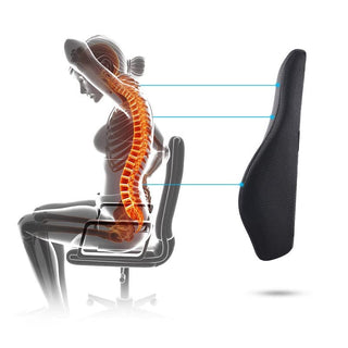 Memory Foam Lumbar Support Pillow for Chair & Car