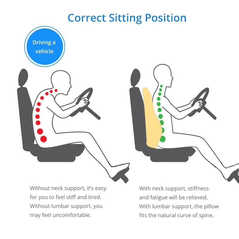 Memory Foam Lumbar Support Pillow for Chair & Car