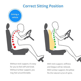 Memory Foam Lumbar Support Pillow for Chair & Car