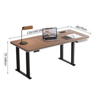 Height Adjustable Electric Standing Desk with Charging Outlets
