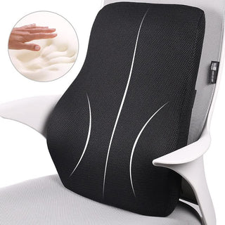 Memory Foam Lumbar Support Pillow for Chair & Car
