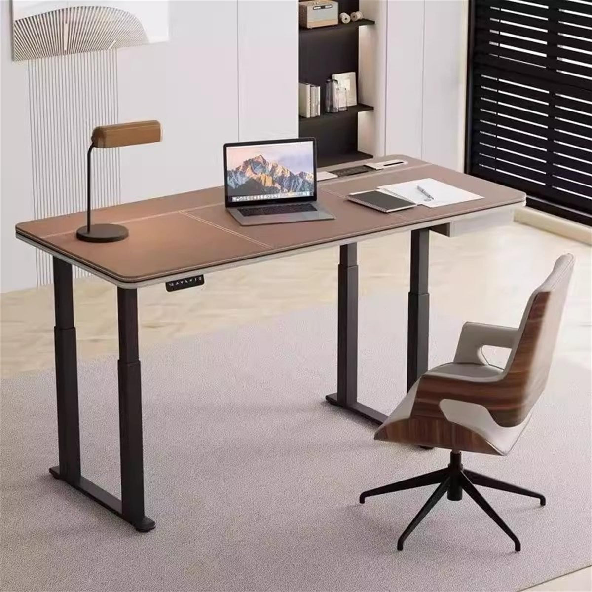 Height Adjustable Electric Standing Desk with Charging Outlets